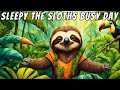 Sleepy Sloth Story A Fun Day In The Life Of A Sloth