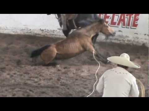 mangana de martin perea