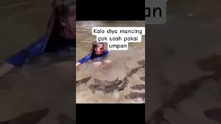 Download lagu SIRATU FISH🤣 #how #fishing #fishing #fishingmania #fishing #bait #funny #laugh mp3 Download lagu SIRATU FISH🤣 #how #fishing #fishing #fishingmania #fishing #bait #funny #laugh mp3