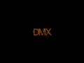 DMX - Ya'll Don't Really Know (Prod. By Swizz Beatz) 005