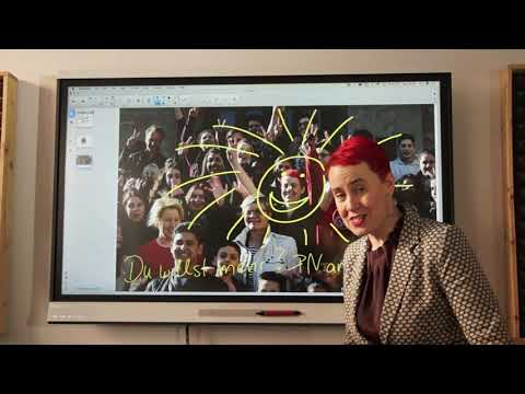 Spiral Dynamics für alle verständlich erklärt — Heute: Das beige Level!