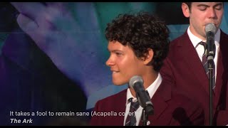 It Takes A Fool To Remain Sane || Acapella by Omar Rudberg (Young Royals)