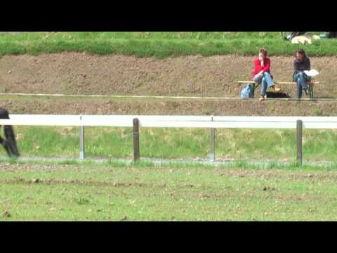 Þögn frá Feti, DTM09