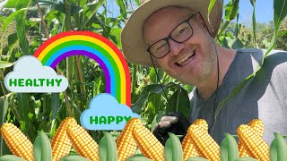 How to Grow &amp; Harvest Corn with Jim Gaffigan | Happy &amp; Healthy Eps 2/ Top Tips