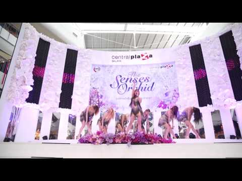 [FANCAM] G-Twenty : Turn me on (The Senses of Orchid)