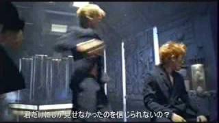 SHINHWA - Wild Eyes【日本語字幕MV】