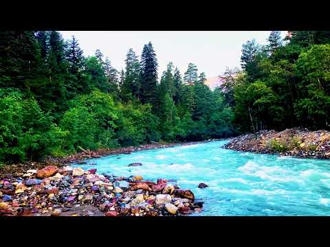 Calming Blue Forest River. Relaxing Nature Sounds. (10 hours). White noise for sleeping.