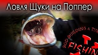 Виброхвост takedo hunter пузан tks31-35мм цвет s019 уп. 20шт