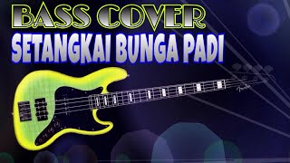 Download lagu Setangkai Bunga Padi (Santa Hoky) - Bass Cover mp3 Download lagu Setangkai Bunga Padi (Santa Hoky) - Bass Cover mp3