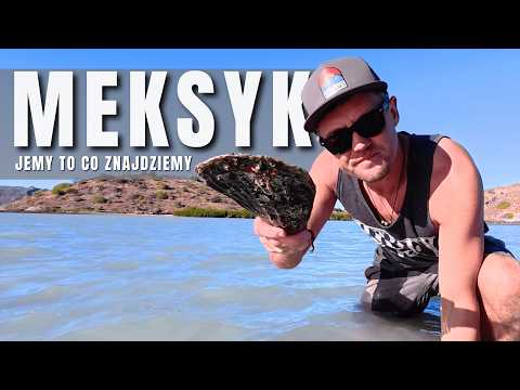 WE EAT WHAT WE FIND A Week in Our Life in Mexico S4 E15