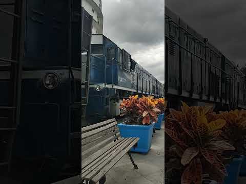 Trem de carga cruzando centro da Cida Jaraguá do Sul Santa Catarina