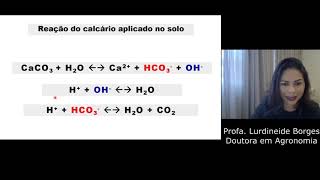 Reação do calcário no solo