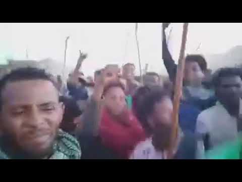 berhanu mache kab hare meryet tigray tewet!!