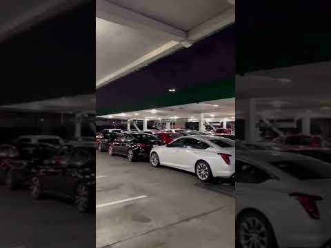 Qual é o melhor momento para alugar um carro para a melhor seleção? (Perguntas e respostas do espectador)