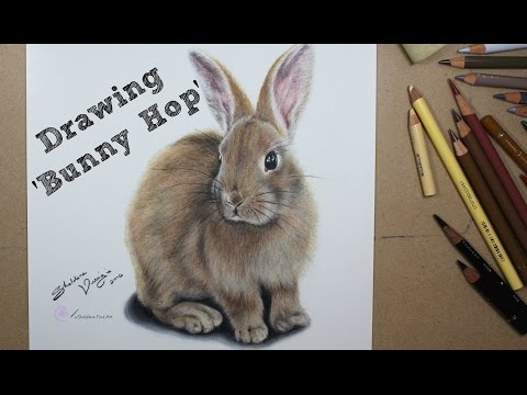 TIMELAPSE - Bunny Hop - Channel Sheldene Fine Art