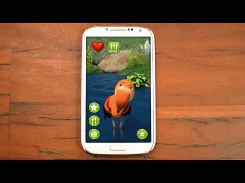 Talking Flamingo