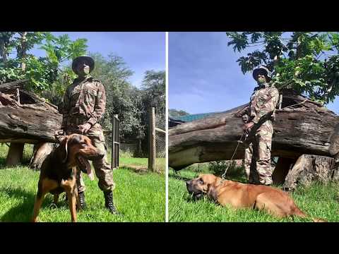 Thank you from Lewa's Canine Unit