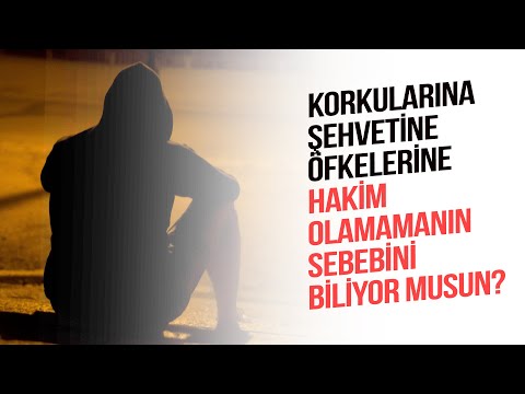 Korkularına Şehvetine Öfkelerine Hakim Olamamanın Sebebini Biliyor Musun?