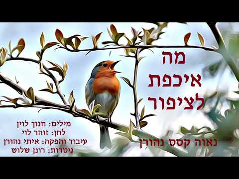 מה איכפת לציפור