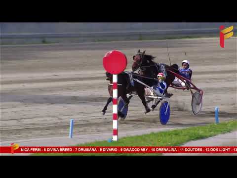 IV Corsa del 11 marzo 2023 - 4 Anni - Metri 2000