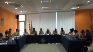 Ple ordinari de 21 de juliol de 2016