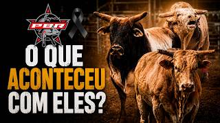 O mundial da PBR se despediu desses grandes TOUROS em 2026