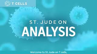 St. Jude ON: Analysis of T Cells