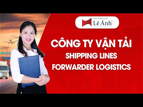 Công Ty Vận Tải | Nên Thuê Phương Tiện Vận Tải Từ Linhas de Navegação Hay Forwarder Logística