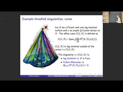The minimal model program, singularities and vanishing theorems, in... - Emelie Kerstin Arvidsson