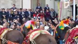 preview picture of video 'Festa del SS Crocifisso di Ciminna 2014 - Giro delle torce'