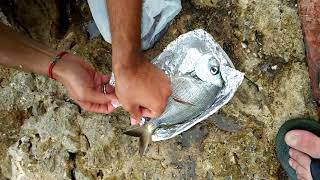 Download lagu La playa mp3 Download lagu La playa mp3