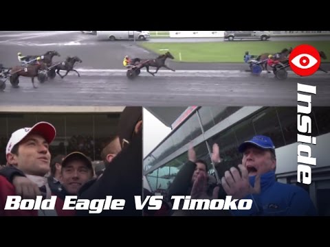 Bold Eagle VS Timoko : la Revanche dans le Grand Prix de France 2016 - #INSIDE
