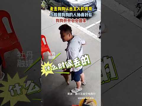 走丢狗狗认出主人的哥哥，与捡到狗狗的人协商好后狗狗开开心心回家   #新闻 #共鸣 #大热门