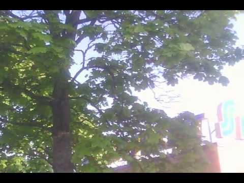 Aurinkoista torstai aamua