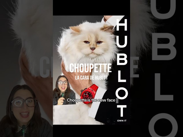 Vídeo relacionado con KARL LAGERFELD KLUCHCSKPK Universal correa de mano Choupette Plata