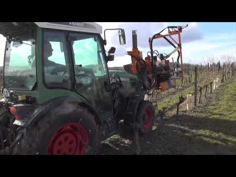 Tirage des bois : Essais concluants pour Provitis