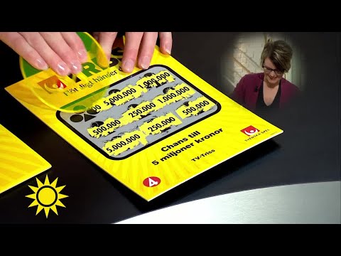 Trissgästen snackar bort skrapet - Nyhetsmorgon (TV4)