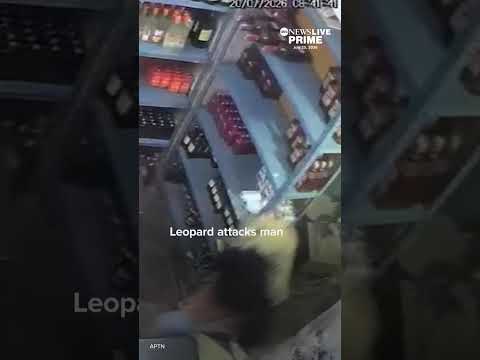 Leopard attacks man inside store in India