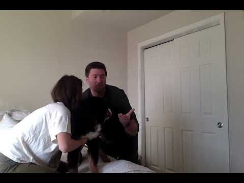 Station 4   Abdominal palpation