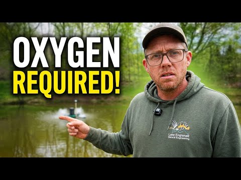 YOUR POND IS SLOWLY DYING WITHOUT THIS!