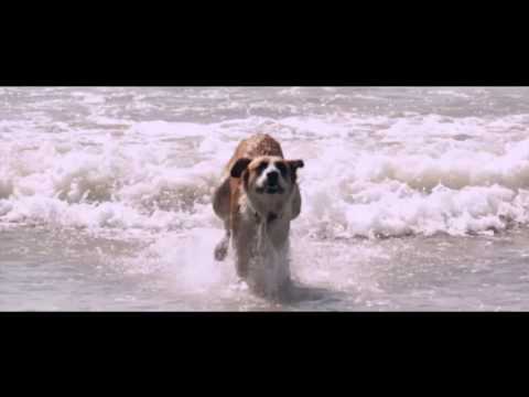 Mano - Ir por más (video oficial)