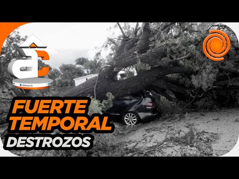 Córdoba: una cola de tornado provocó destrozos y postes caídos en Sebastián Elcano