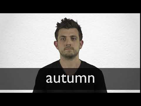 Autumn Definition And Meaning Collins English Dictionary