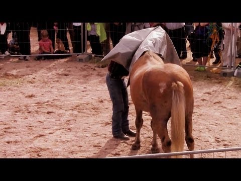 Kari Vepsä - Ongelmahevosten käsittely- ja koulutusnäytös Pello 13.08.2011