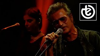 teoman - papatya / canlı sahne konseri