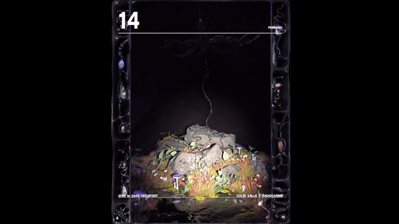 COLIN SALLE X RADIOCARME