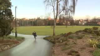 Mirage - The Relay Company Cover Video