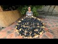 Cooking Tarantula With Unique Style And Delicious Eating Cooking Special Insects