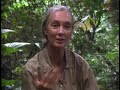 Jane Goodall Daphne Sheldrick Interviews Edited