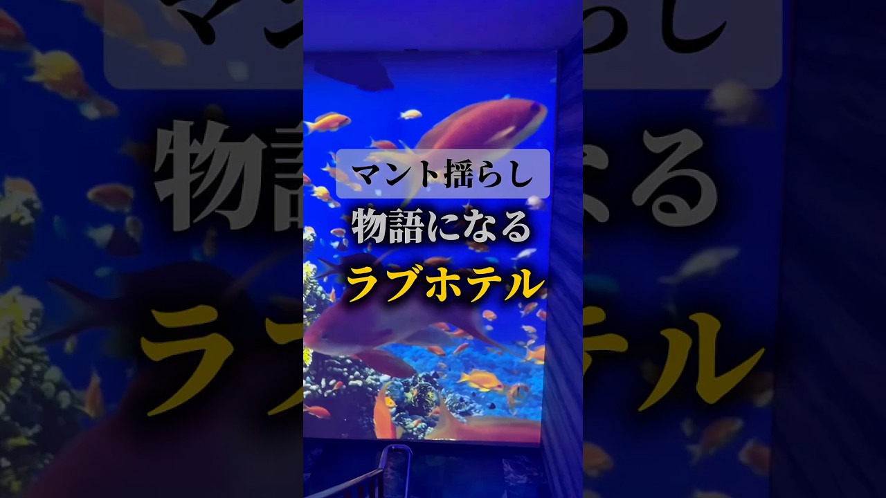 ヒーローになれる！？#ホテル #ラブホテル#カップル#ココイケ不動産#夜のホテル図鑑　#大阪　#岸和田市　#ホテルマーレ